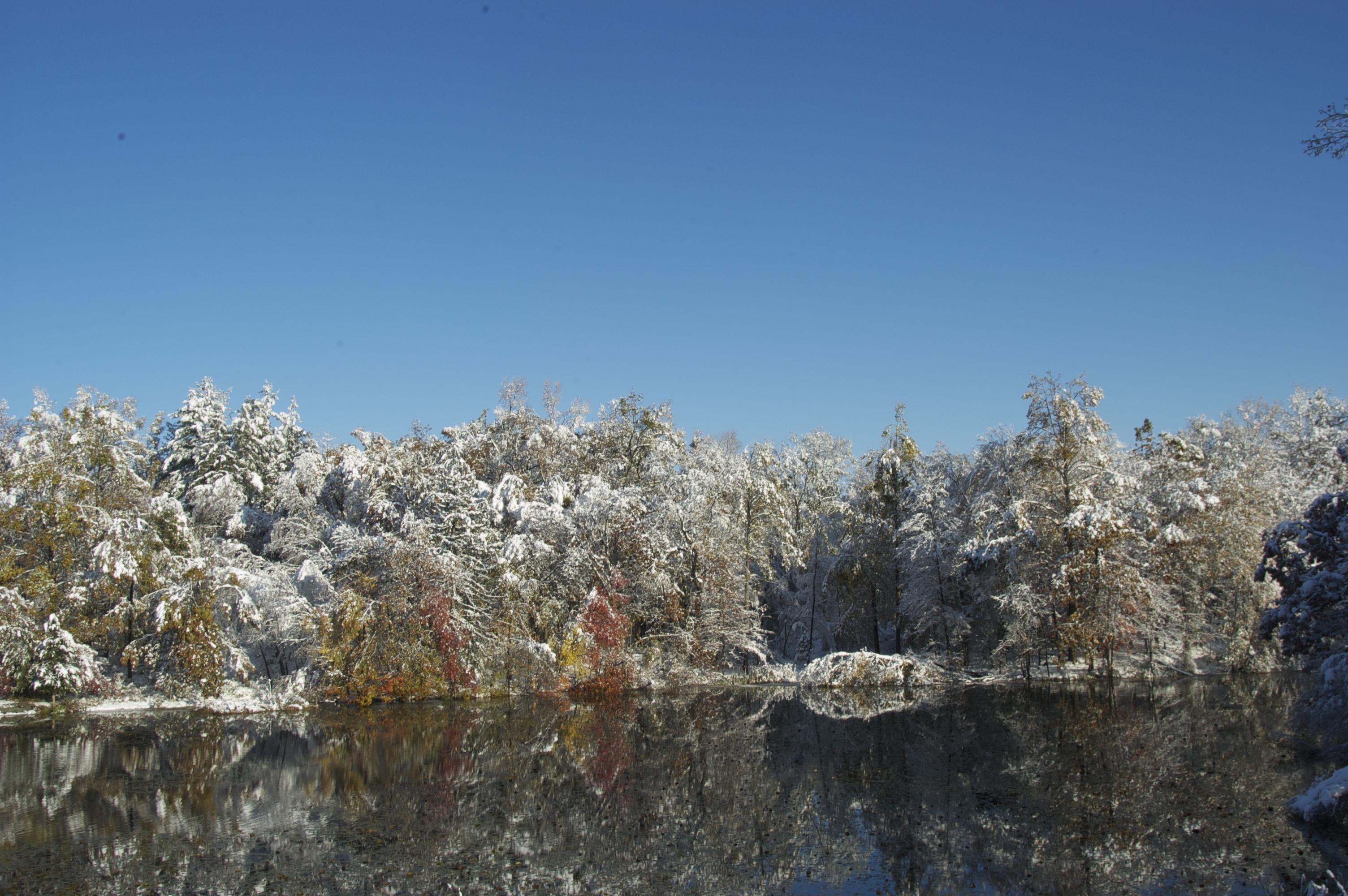 Lake in Winter